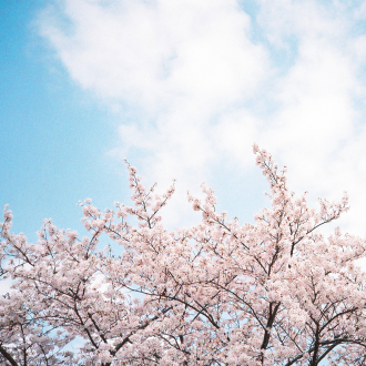 02 03b e1521705908889