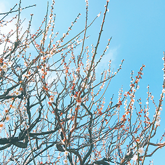 02f3707fe34d8cc4dde1941362fea070