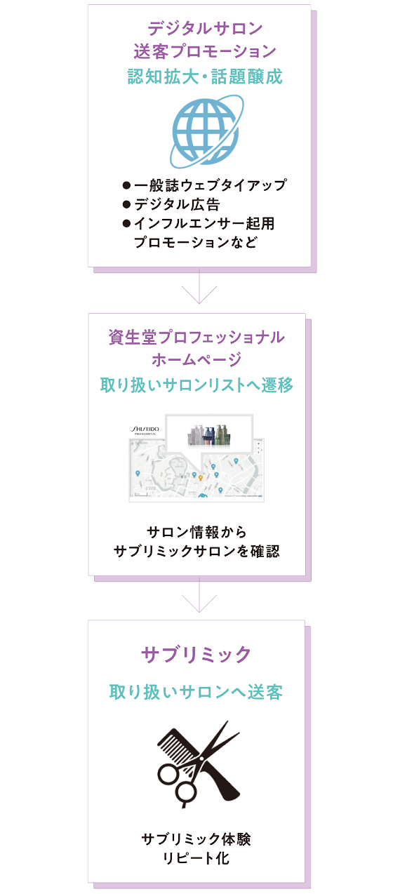 （2）美しくありたいと願う女性へ、デジタルを活用して「サブリミック」の魅力を届け、誘引