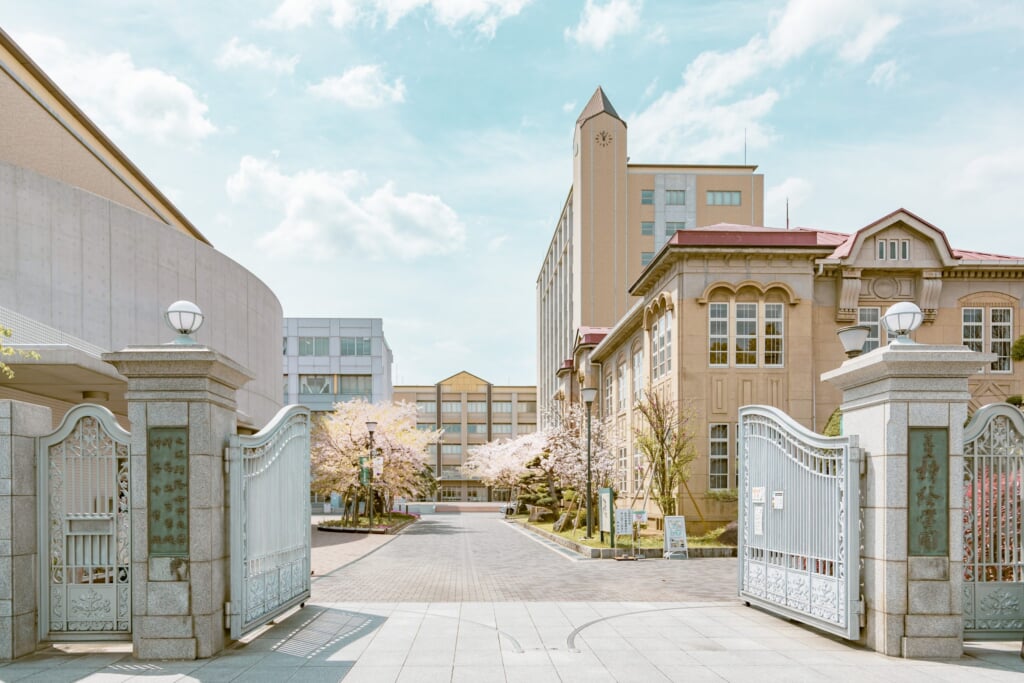 1b9397fefab4e1f9db8e236f9a37faa3 1 scaled 1