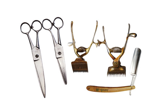 箱石さんの肖像