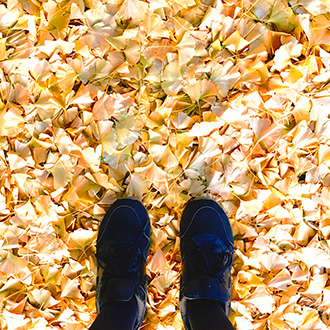 2016 11 26 15.52.48 2