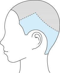 【連載】12色のうたうヘアカラー 2月は「アオキイト」/vetica タカギタカオ 10 2828f4e68bcf28f0f08795ab81db9b38 e1517468455693