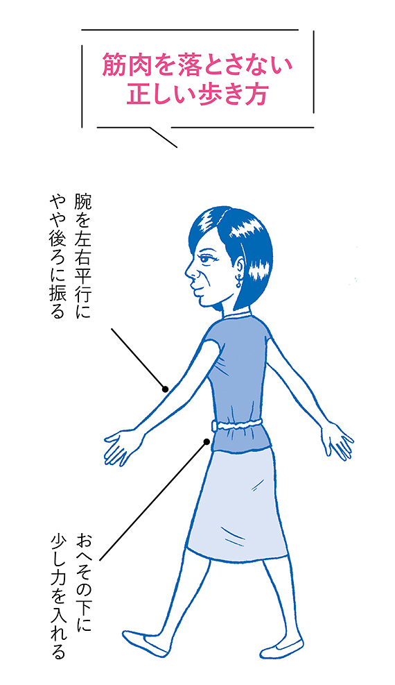 姿勢が悪くなるのは骨と筋肉の両面から