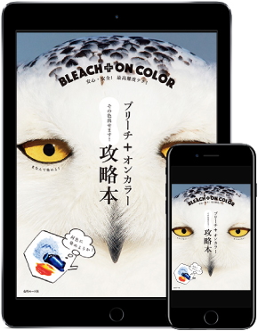 ブリーチ＋オンカラー攻略本の表紙