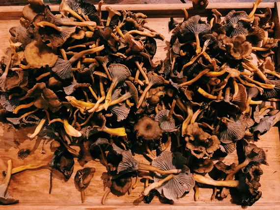 【連載 第4回】在仏美容師・小川みずきのセシボン日記 3 4