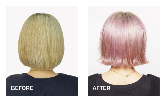 48b27fb3c76165471d49b55b159007bb