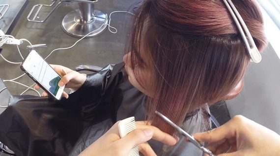 ハチ周りのセニング