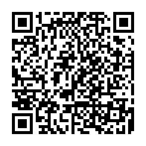 アルカリカラー技術動画QRコード