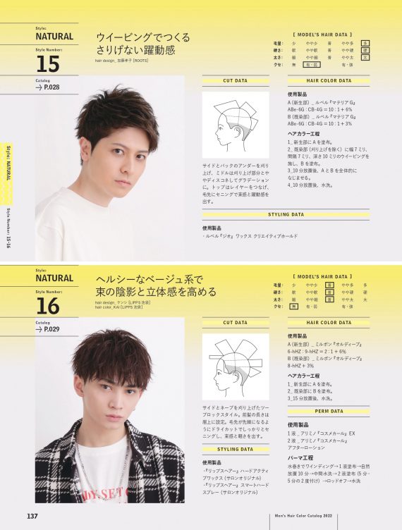 ヘアカラーレシピとデータ記載例