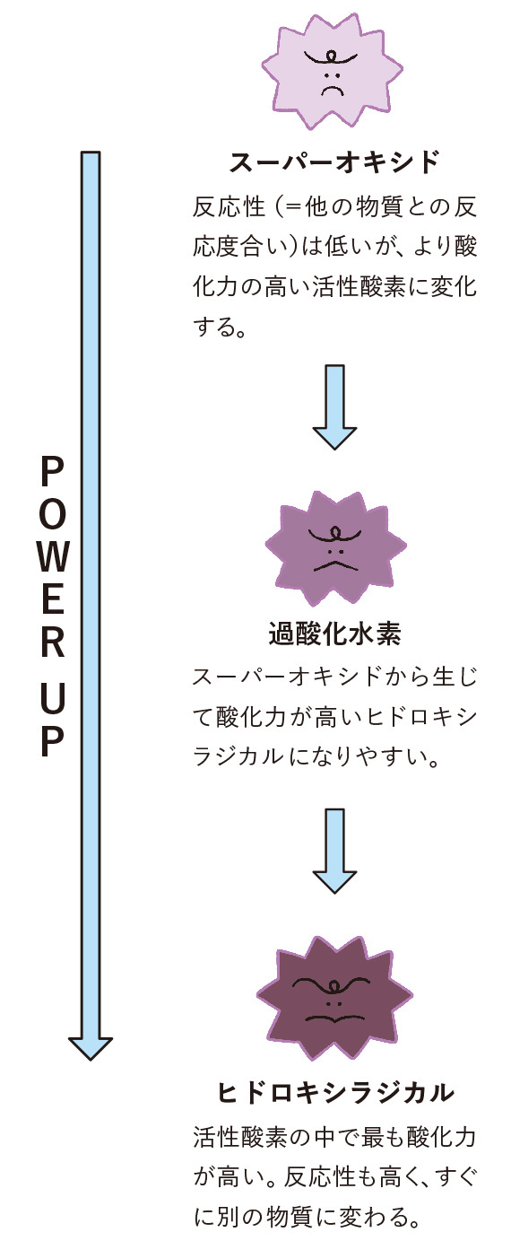 ◎酸化から細胞を守るにはケイ素が有効