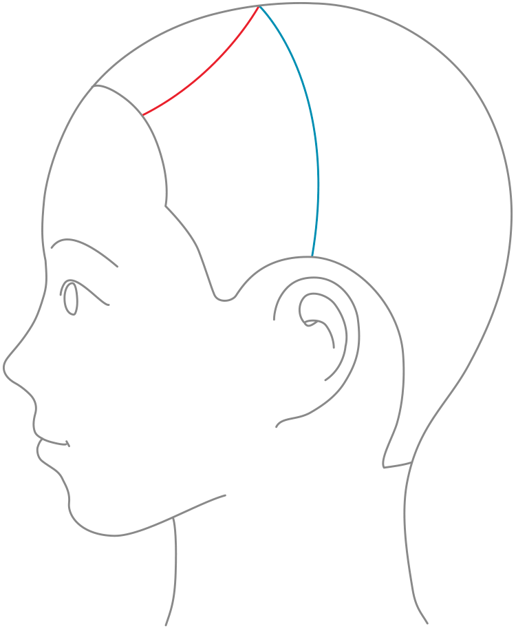 HM01 064 zu4 e1774855946791