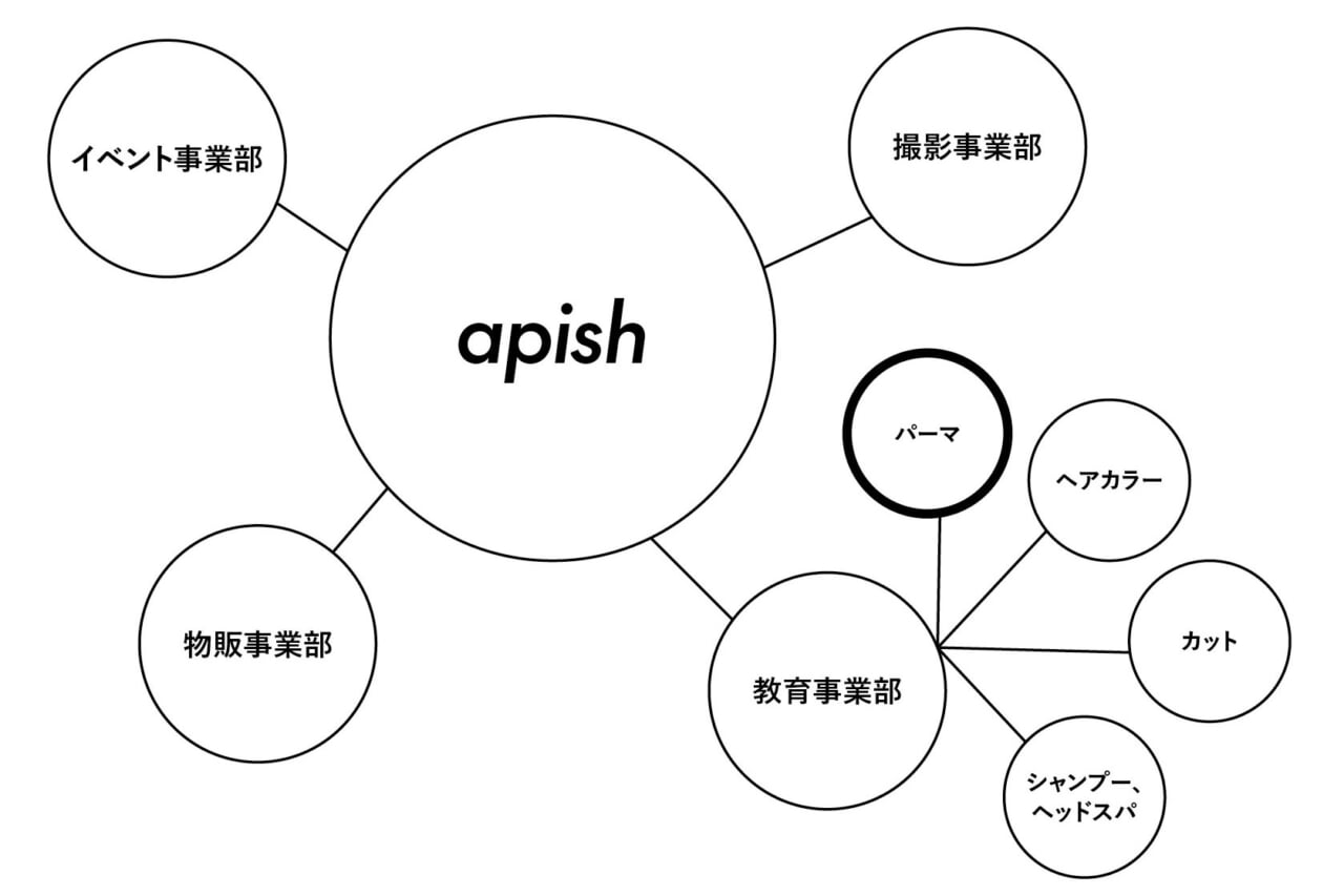HM03 060 061 Issue 03 apish CC2024