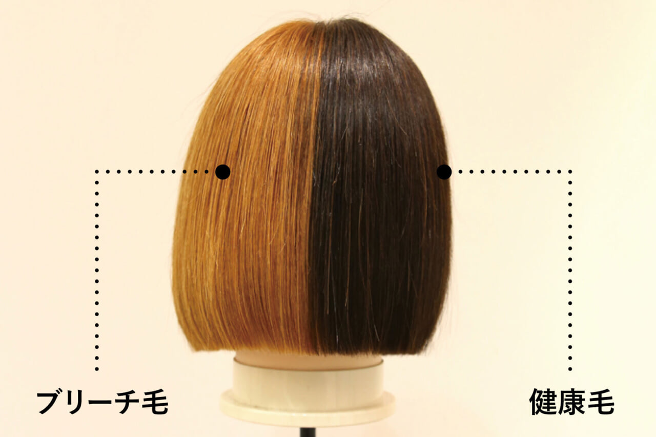 ケミカル知識がもたらすサロンの発展|apish編 5 HM03 061 Issue 01apish CC2024 1