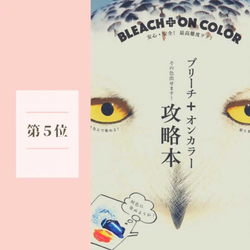 ブリーチ＋オンカラー攻略本