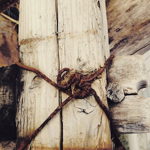 茅ヶ崎でのすきま写真