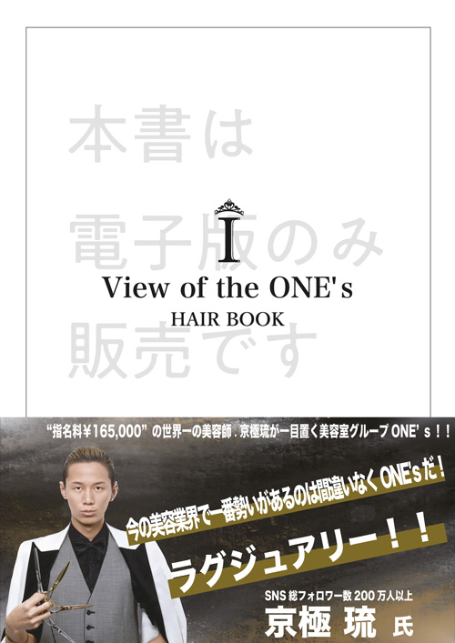ONES HAIRBOOK 500 1