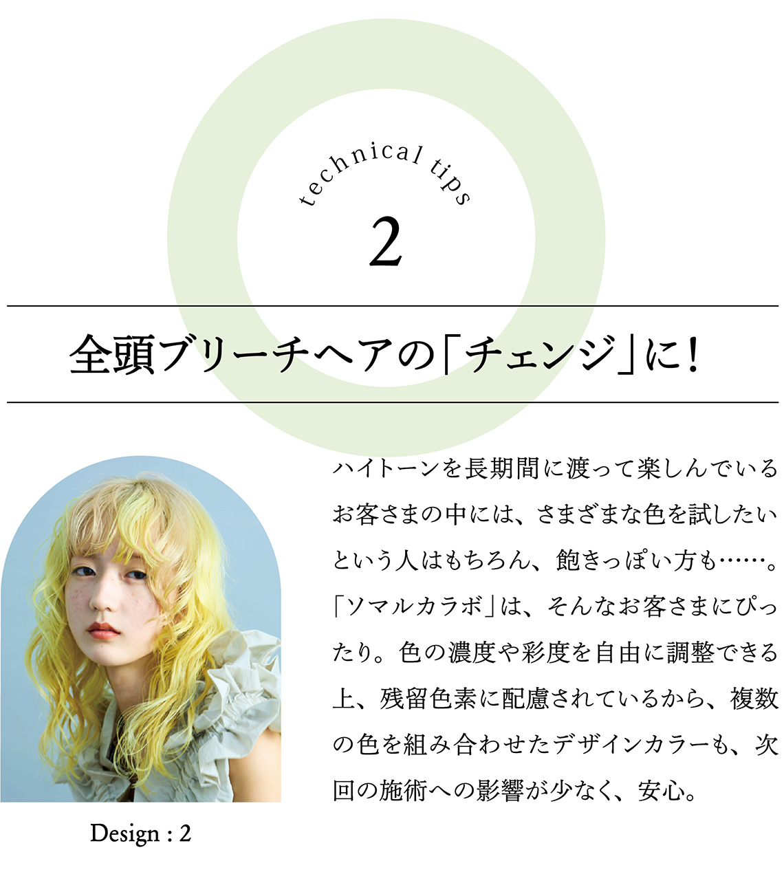 塩基性カラーの上手な使いこなし方とは？