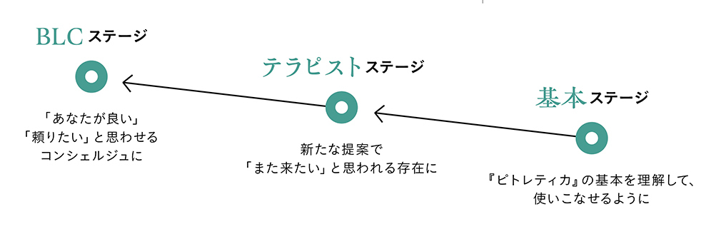 テラピスト教育の流れ図
