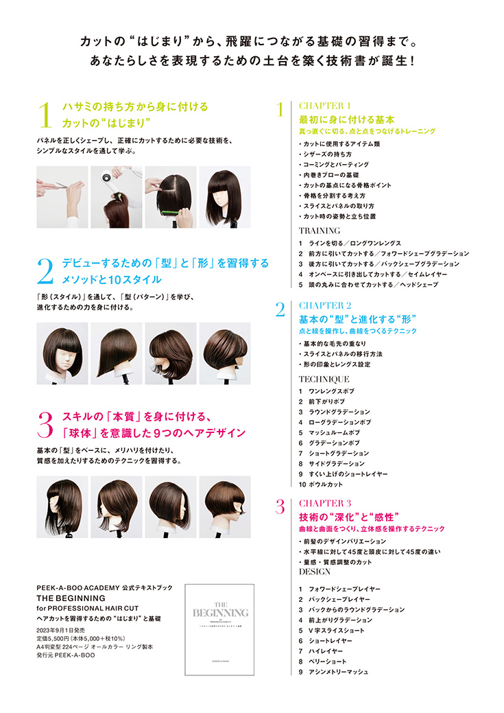 PEEK-A-BOO テキストブック チラシ2