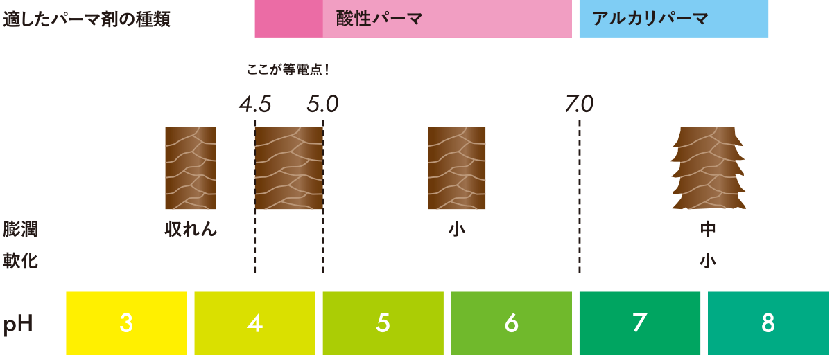 PH zu04