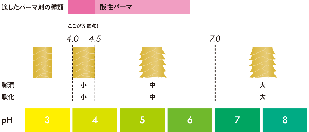 PH zu05