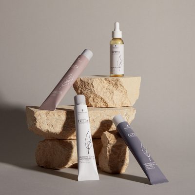 Terra visual1 e1645369009582