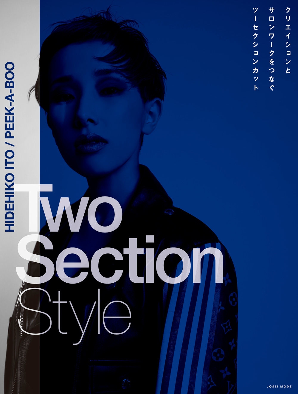 クリエイションとサロンワークをつなぐツーセクションカット 2 TwoSectionCut01