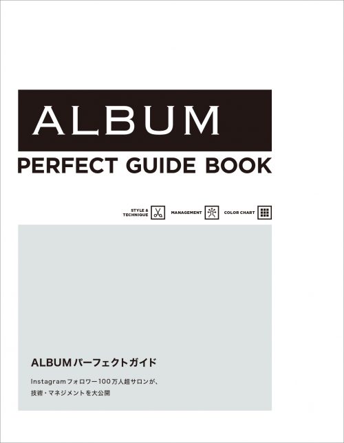ALBUMパーフェクトガイド 表紙