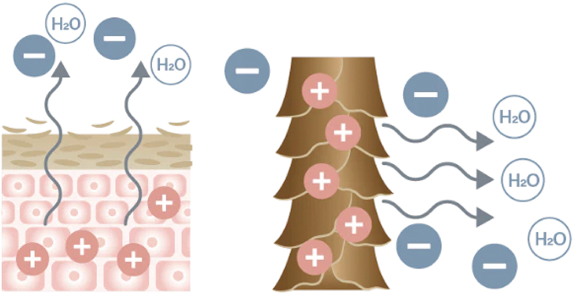 月最高店販売上・約100万円!顧客のホームケア使用率・約75%!効果と必要性の体感が鍵を握るホームケアプロダクト提案/quintetto、Purity×armada Mi+(アルマダ ミタス) 16 armadaMi+Technology