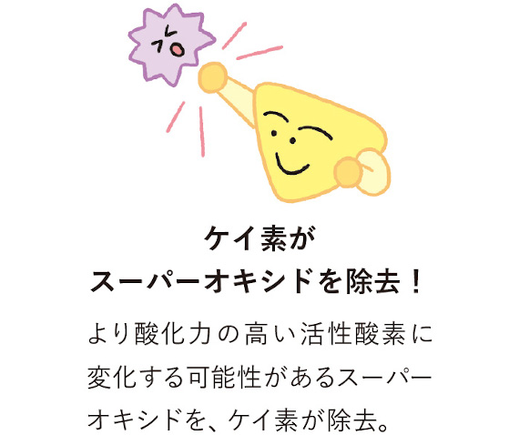 bc1572f3844acd126620f092b0555234