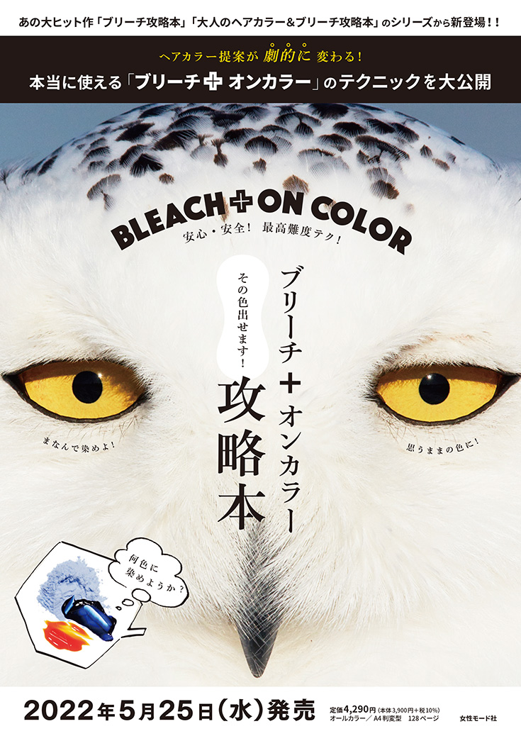 ブリーチ＋オンカラー攻略本のページサンプル1