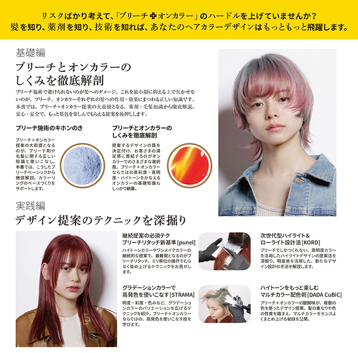 ブリーチ＋オンカラー攻略本のページサンプル2