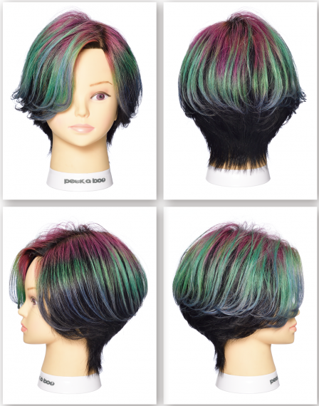 スチューデント部門グランプリ作品 オーロラ