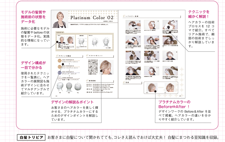 グレイヘアスタイル事例