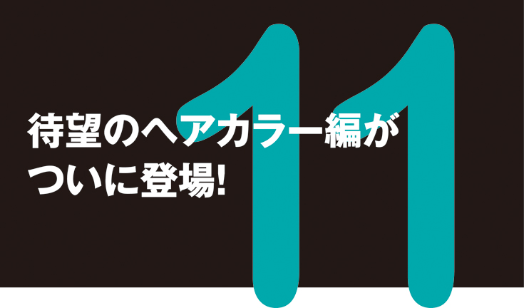 ヘアカラー技術解説ページ1