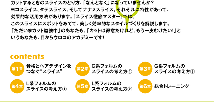 スライス技術解説ページ4