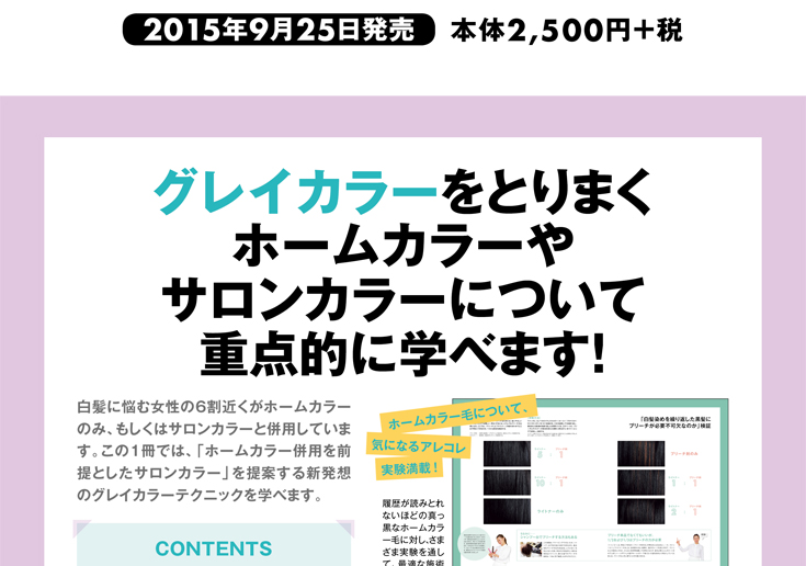 グレイカラーレッスン内容ページ3