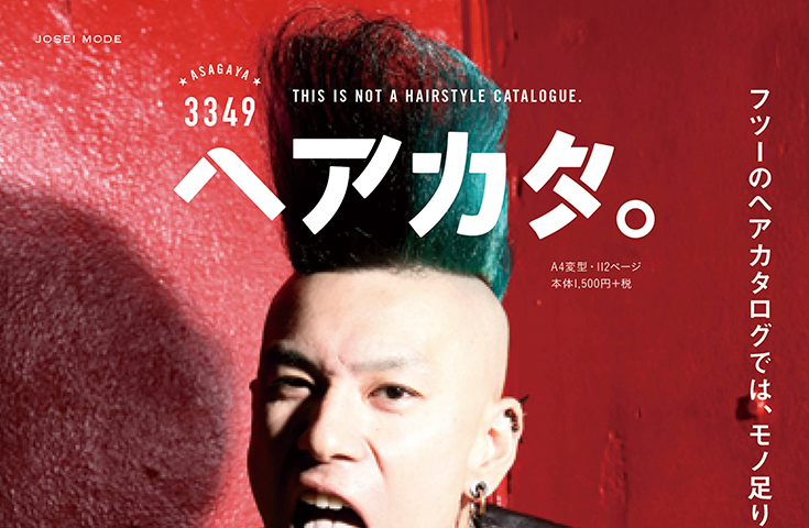 ASAGAYA3349ヘアカタログ内容1