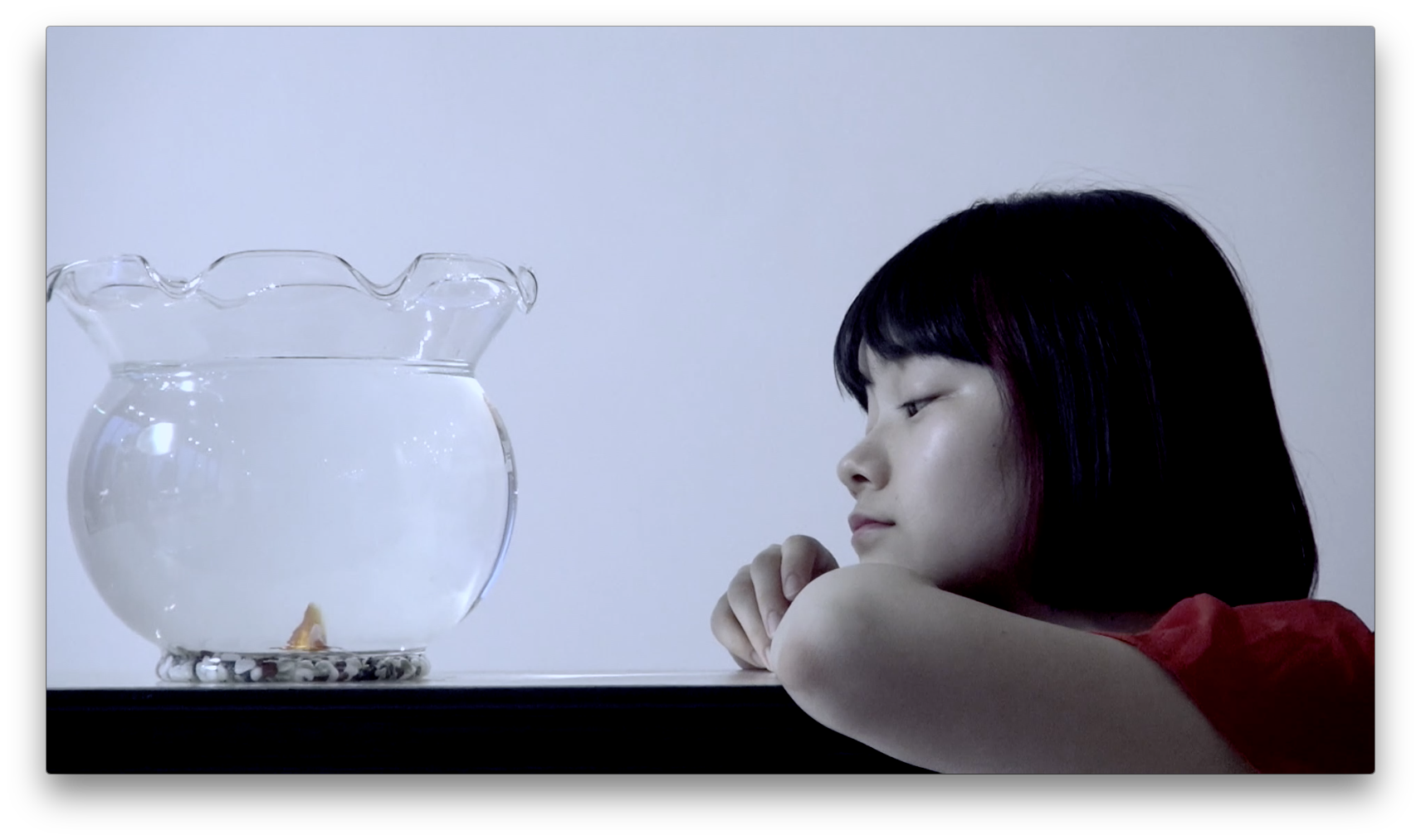 【連載】12色のうたうヘアカラー 8月は「金魚空」/vetica タカギタカオ 7 ca0f8140d3aa8cf2f2699a50e13b029b