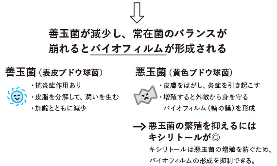 fcd369530fc38388d51d96d70fcaebe3