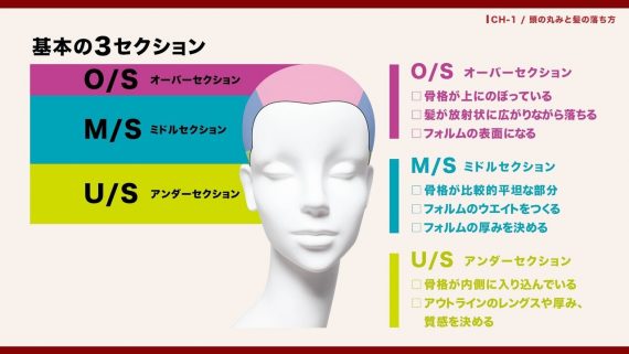 豊富な写真や図で分かりやすい