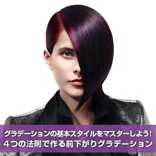 【お勉強モード SEMINAR】『シュワルツコフ プロフェッショナル』の情報を追加! 2 シュワルツコフプロフェッショナル セミナー情報