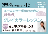 ホームカラー併用のための新発想グレイカラーレッスン