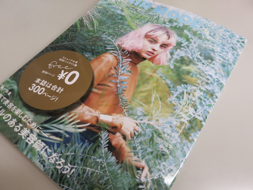 HAIRMODEハイライト版の表紙画像