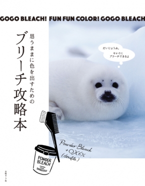 ブリーチ攻略本