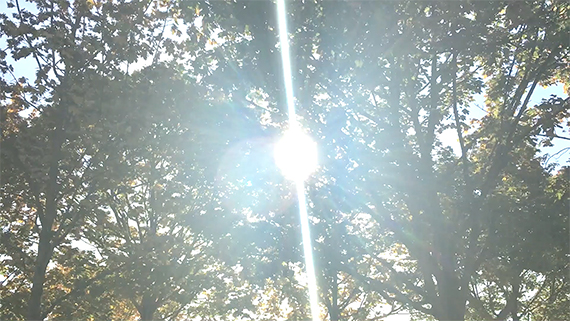 澤野秀樹によるヘアデザイン作品4