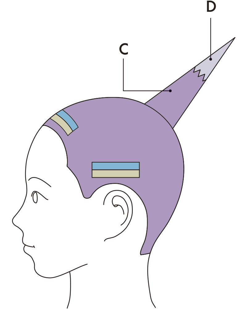 tenkaizuA