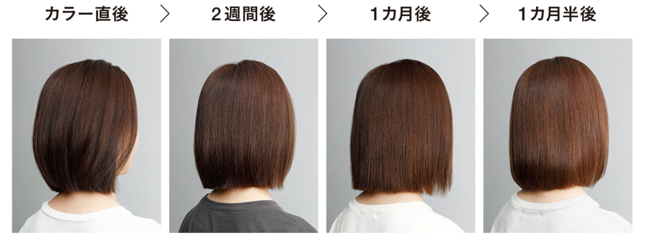 『リュクスカラー』を使って白髪ぼかしをもっと気軽に! 「ハイライトなし」で始める、新しいメニュー提案 9 tool02A