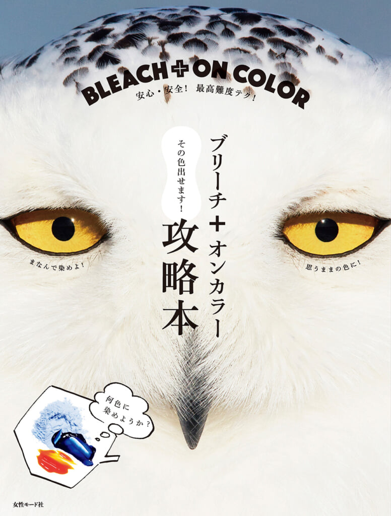 ブリーチ＋オンカラー攻略本 w1000